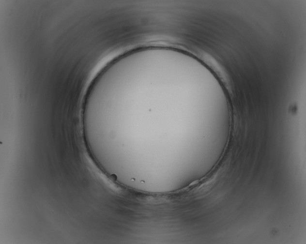X0000090861384200708241849