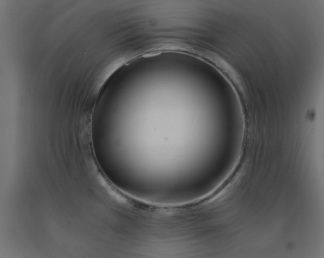 X0000090861385200708241849