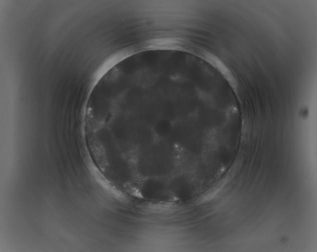 X0000090861386200708241849