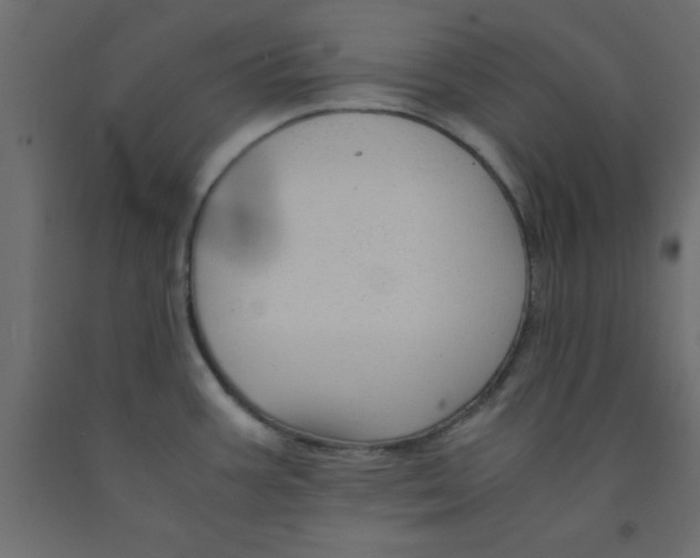 X0000090861387200708241849