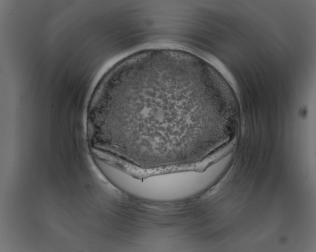X0000090861388200708241849