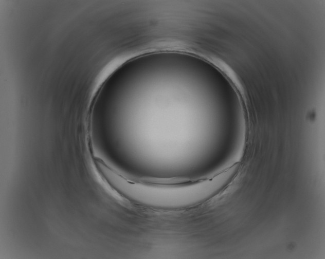 X0000090861389200708241849