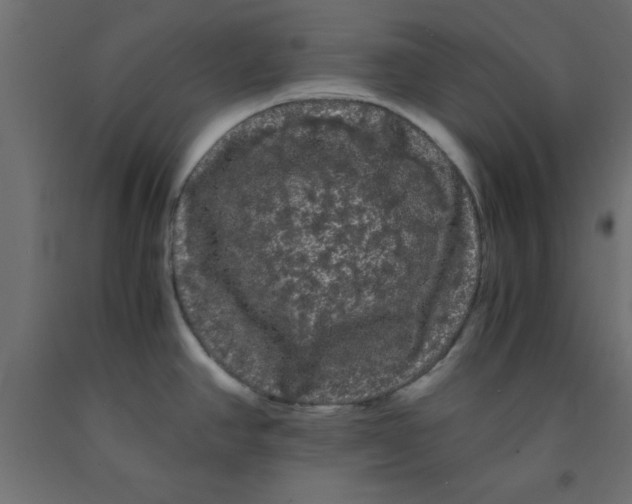 X0000090861390200708241849