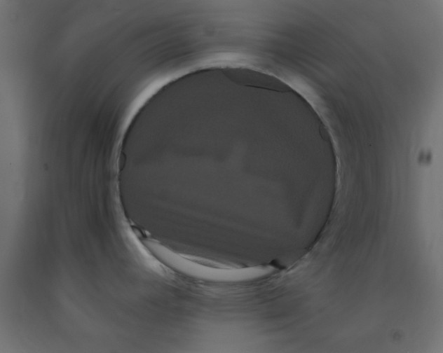 X0000090861392200708241849
