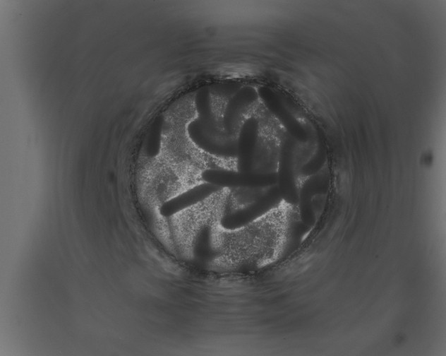 X0000090861393200708241848
