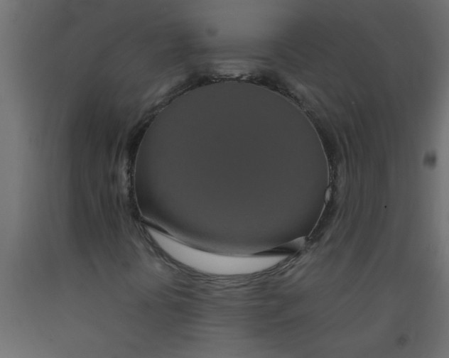 X0000090861394200708241848