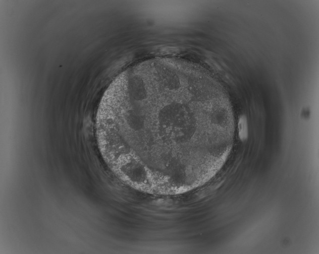 X0000090861395200708241848