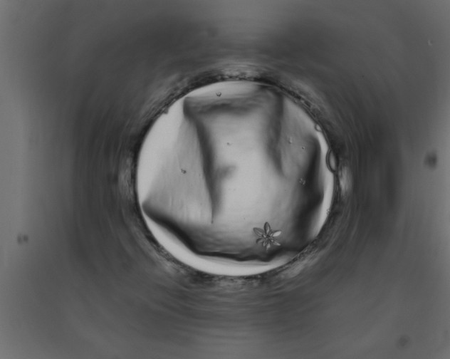X0000090861396200708241848