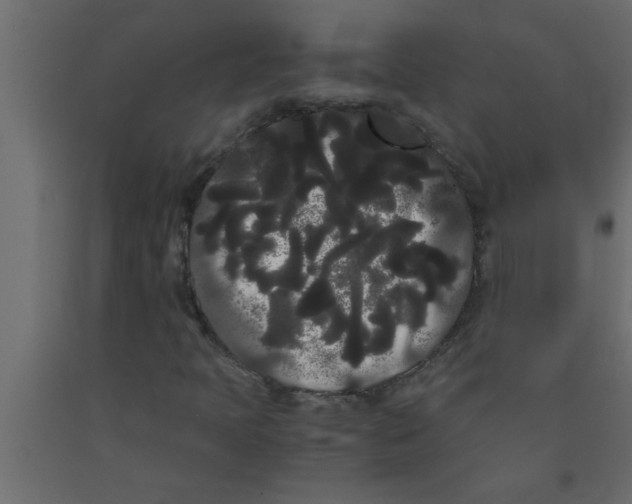 X0000090861397200708241848