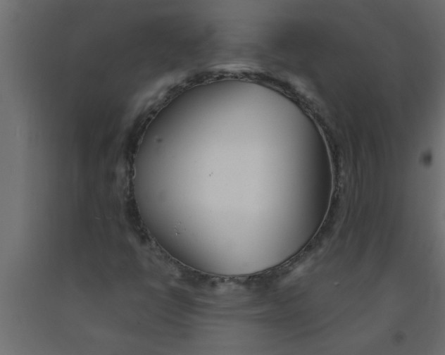 X0000090861398200708241848