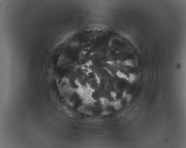 X0000090861399200708241848