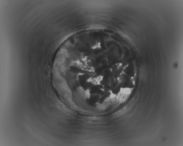 X0000090861401200708241849
