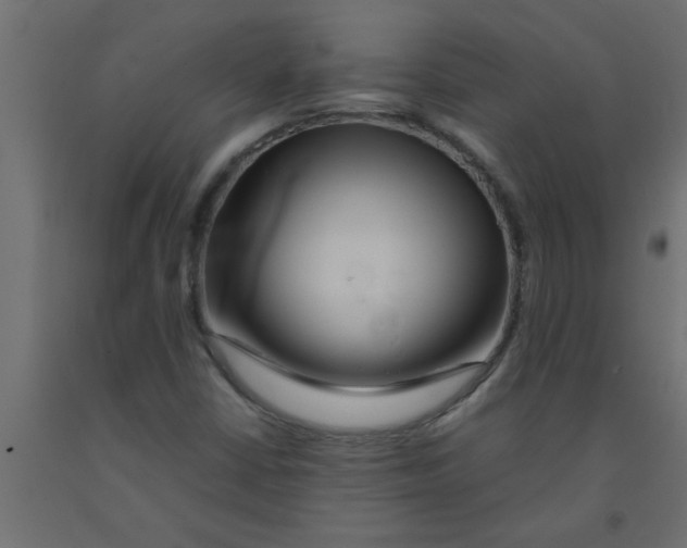 X0000090861402200708241849