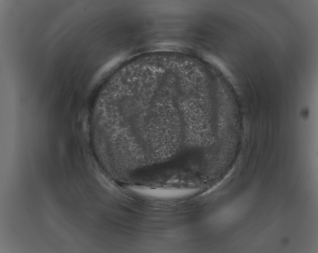 X0000090861403200708241849