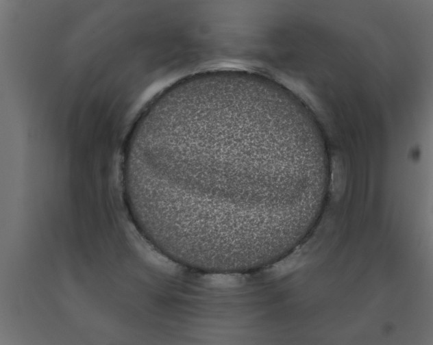 X0000090861404200708241849