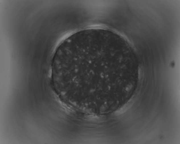 X0000090861405200708241849
