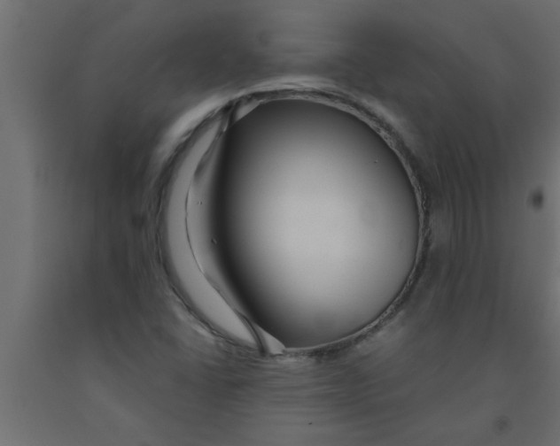 X0000090861406200708241849