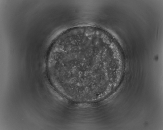X0000090861407200708241849