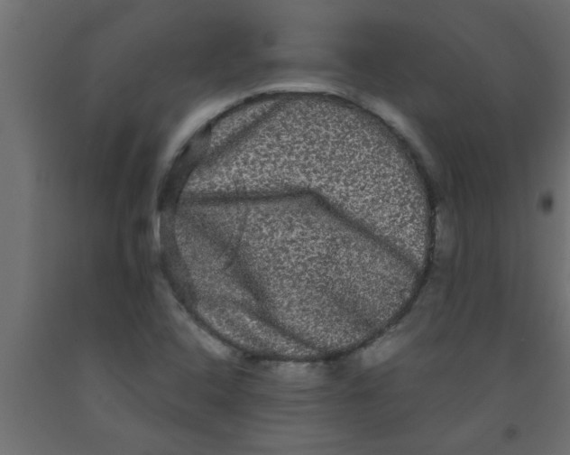 X0000090861408200708241849