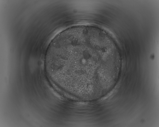 X0000090861409200708241849
