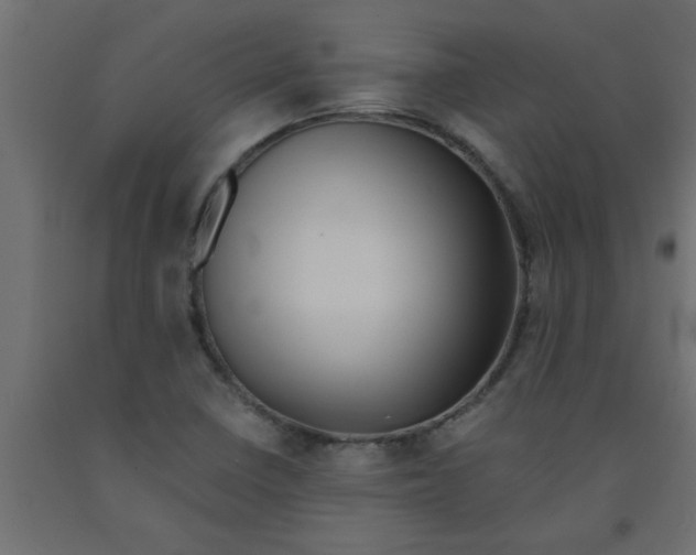 X0000090861410200708241849