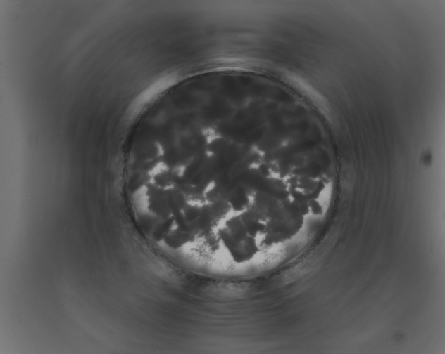 X0000090861411200708241849