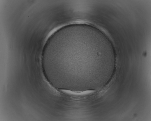 X0000090861412200708241849