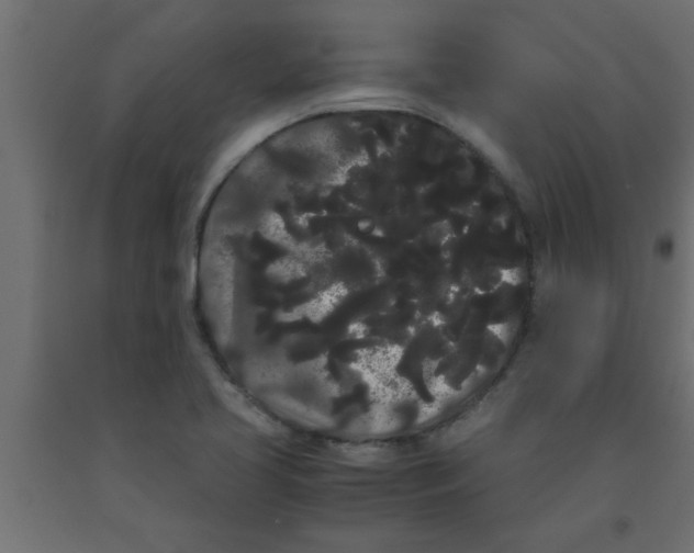 X0000090861413200708241849