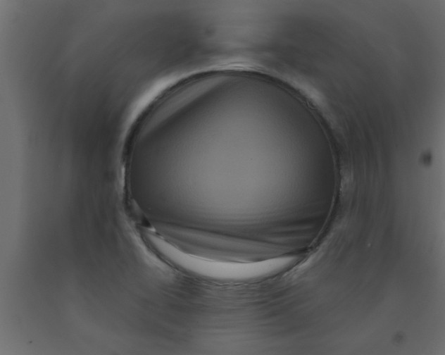 X0000090861414200708241849