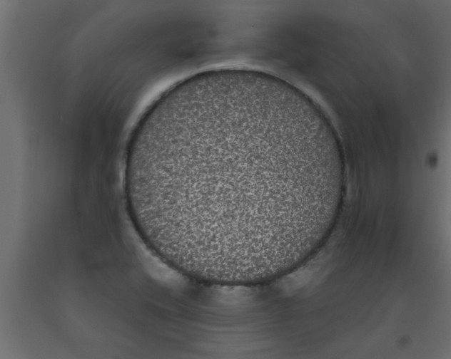 X0000090861416200708241849