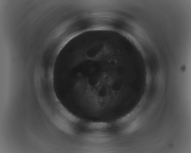 X0000090861417200708241849