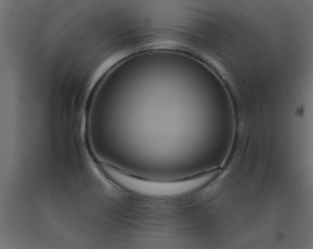 X0000090861418200708241849