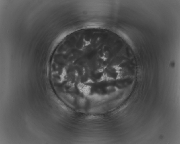 X0000090861419200708241849