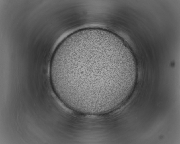 X0000090861420200708241849