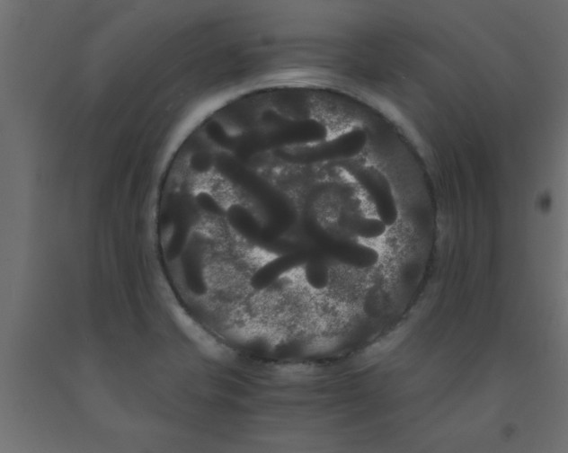 X0000090861421200708241849
