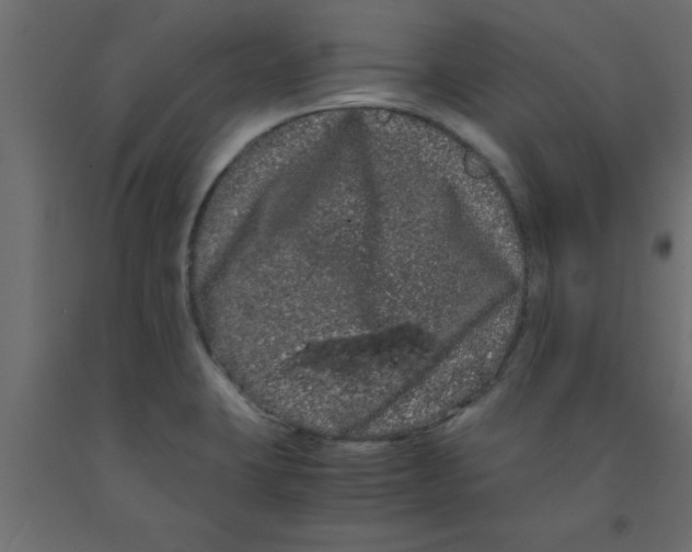 X0000090861423200708241849