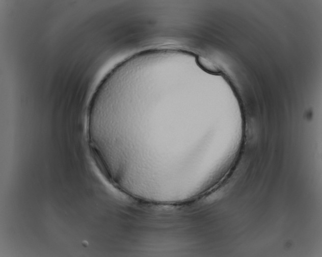 X0000090861424200708241849