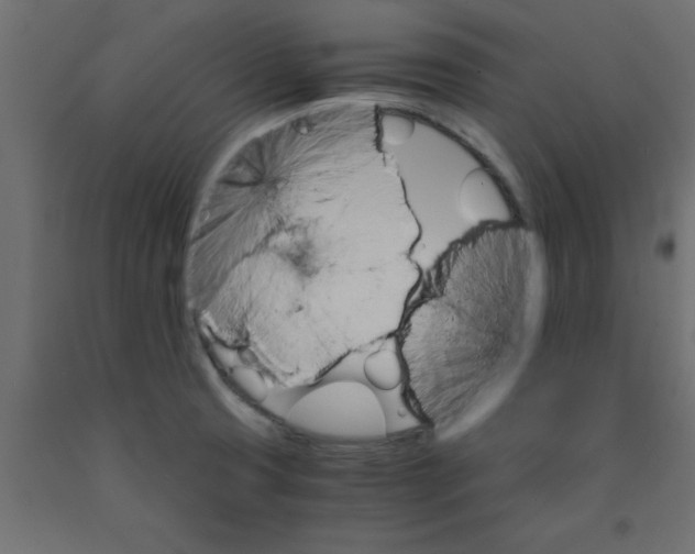 X0000090861425200708241849