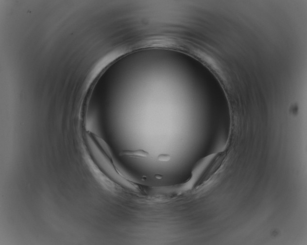 X0000090861426200708241849
