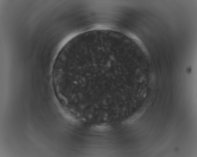 X0000090861427200708241849
