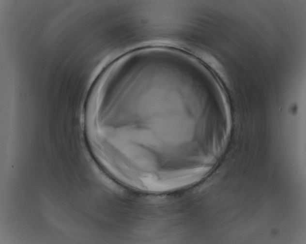 X0000090861428200708241849
