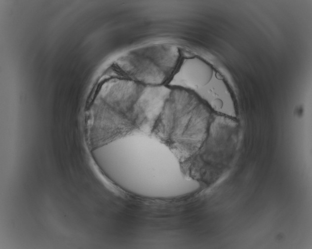 X0000090861429200708241849