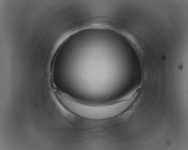 X0000090861430200708241849