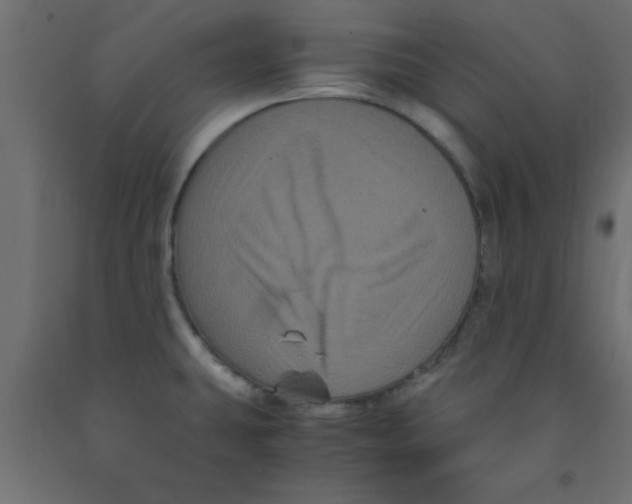 X0000090861431200708241849
