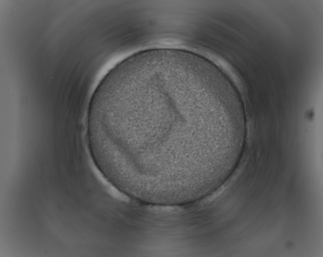 X0000090861432200708241849