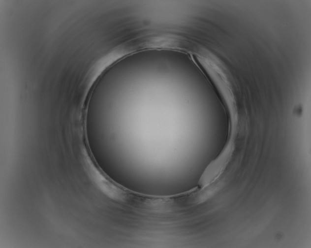 X0000090861434200708241849