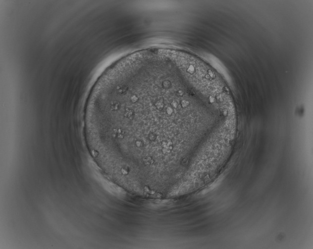 X0000090861435200708241849