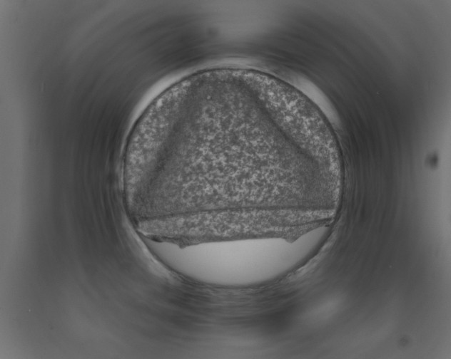X0000090861436200708241849