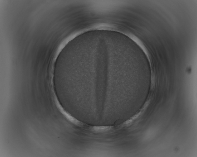 X0000090861437200708241849