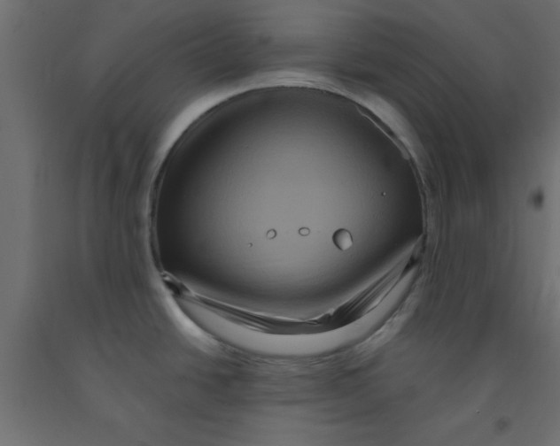 X0000090861438200708241849